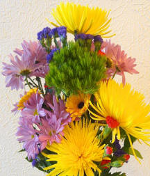 flowers by gillian